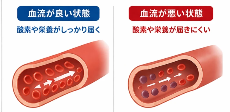 肩こり時の血行不良